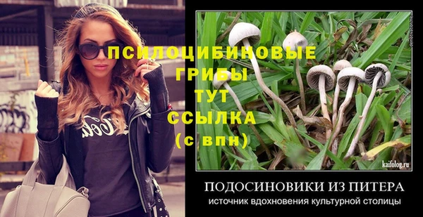 бошки Абинск