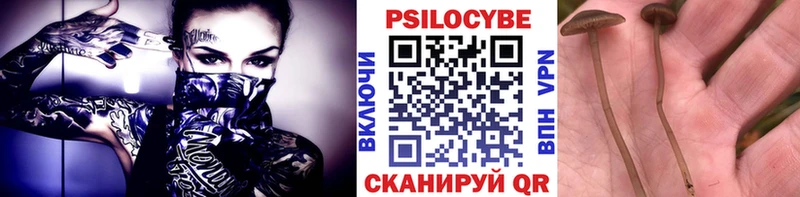 Галлюциногенные грибы Psilocybine cubensis  Яранск 